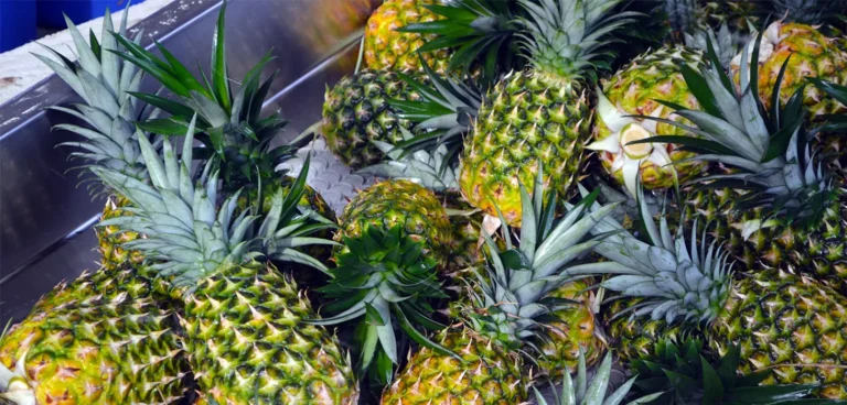 Piña