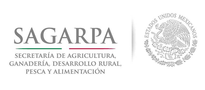 sagarpa